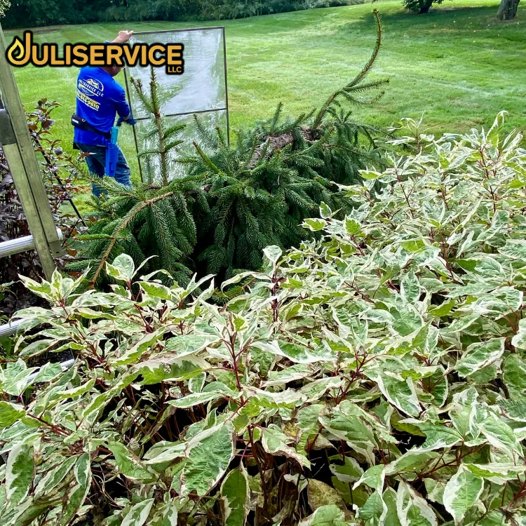 JuliService exterior cleaning work in Westchester County, NY
